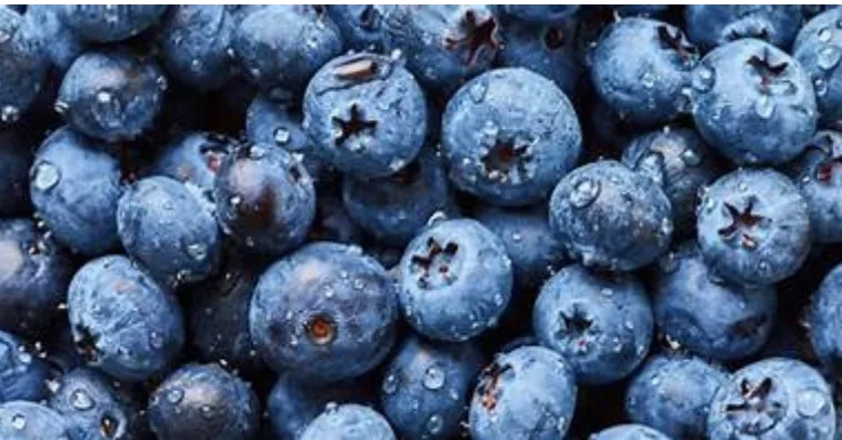 Blog Changes and Blueberries